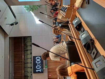 3. Conflict Resolution Strategies  MEETING IN BOLZANO (April 29 – May 3, 2026): Bilder 1
